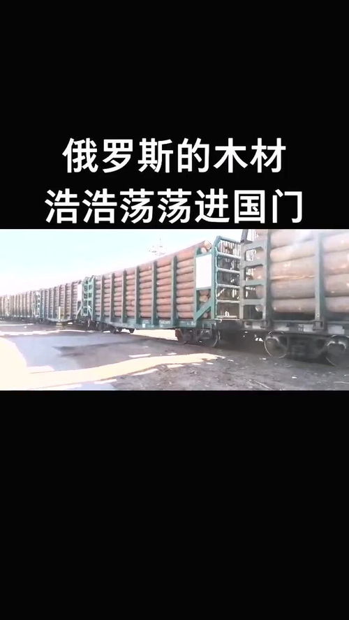 日用化工產(chǎn)品換木材 中俄換貨貿(mào)易的新篇章